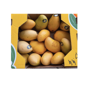 Dominican (Mexican) Mango 2 Pieces